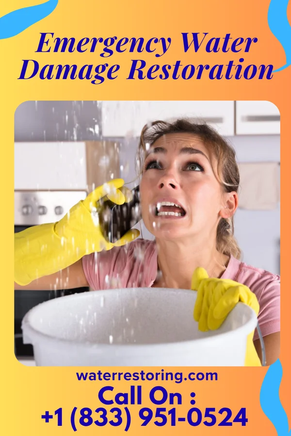 Emergency Water Damage Restoration in Collinston, LA