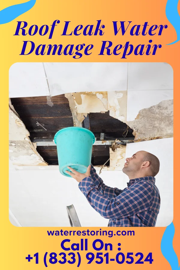 Roof Leak Water Damage Repair in Collinston, LA